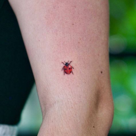 Catarina Tattoo, Small Ladybug Tattoo, Ladybug Tattoo, Peacock Feather Tattoo, Lady Bug Tattoo, Hand And Finger Tattoos, Bug Tattoo, Anklet Tattoos, Skeleton Hand Tattoo