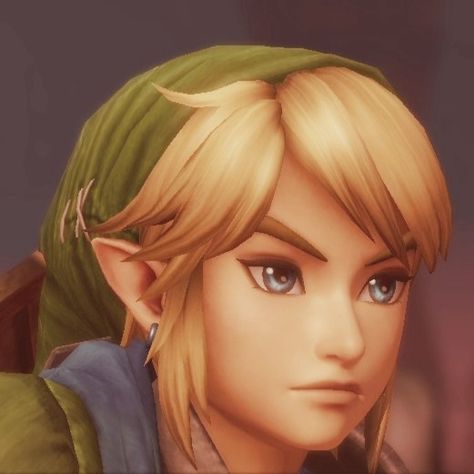 Link Hairstyle Zelda, Link Hairstyle, Hyrule Warriors Link, Link Icon, Zelda Hyrule Warriors, Ben Drowned, Hyrule Warriors, Link Zelda, Funny Boy