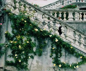 Hyrule Castle, Marble Staircase, Flowers Growing, Carpe Koi, Ciel Phantomhive, Old Building, Luxor, Dragon Age, Green Aesthetic