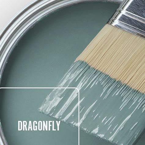 Dragonfly Paint Color, Behr Dragonfly Paint, Light Blue Green Paint Colors, Light Turquoise Paint, Jade Paint, Behr Colors, Color Of The Month, Turquoise Painting, Paint Color Schemes