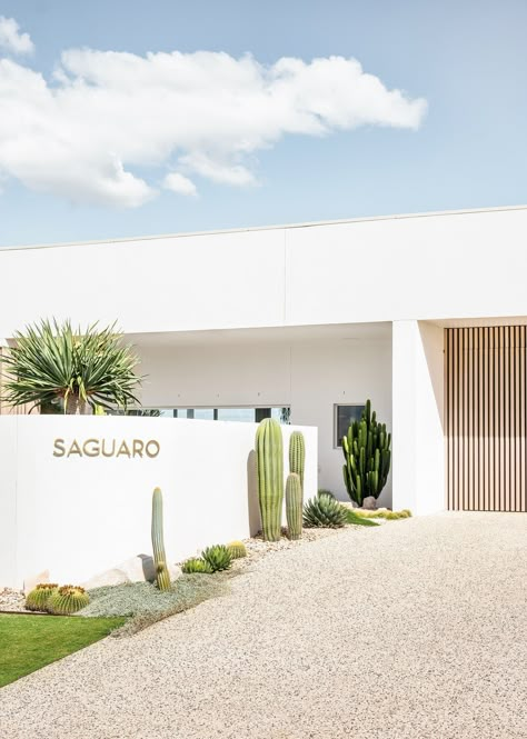 Saguaro — Adore Home Magazine Palm Springs Exterior, Palm Springs Landscaping, Palm Springs Garden, Palm Springs Homes, Palm Springs Houses, Palm Springs Home, Palm Springs Style, Coastal Gardens, Front Landscaping