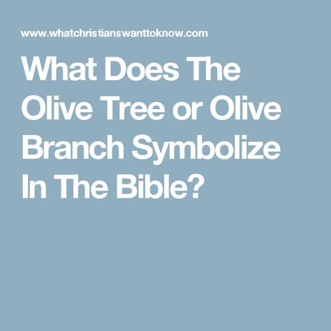 What Does The Olive Tree or Olive Branch Symbolize In The Bible? Olive Branch Meaning Bible, Olive Branch Symbolism, Olive Branch Tattoo Meaning, Olive Branch Meaning, Olive Branch Art, Olive Tree Tattoos, Olive Tattoo, Bible Meaning, Tree Branch Tattoo