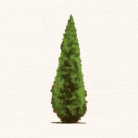 Hand drawn conical tree vector | premium image by rawpixel.com Conical Tree, Tree Printable Free, Pine Tree Illustration, Bush Drawing, Evergreen Tree Tattoo, Tree Tattoo Meaning, Willow Tree Wedding, Twig Christmas Tree, Tree Wallpaper Iphone