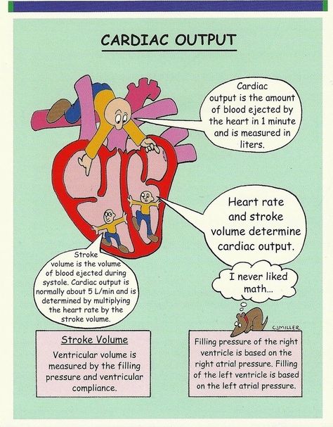 Cardiac Output, Emt Study, Memory Notebook, Cardiology Nursing, Nurse Educator, Nursing 101, Penyakit Jantung, Nursing Mnemonics, Medical Posters