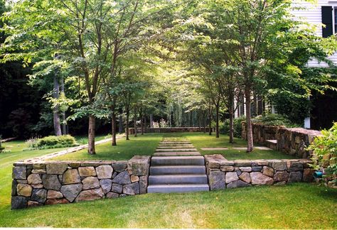 HMWhite: outdoor stone stairway in backyard #garden #steps #HMWhite #Landscapearchitects #landscapedesigners #trees #summer Sloped Garden, Garden Steps, Grasses Garden, Walled Garden, Landscape Design Plans, Have Inspiration, The Secret Garden, Terrace Garden, Garden Fence