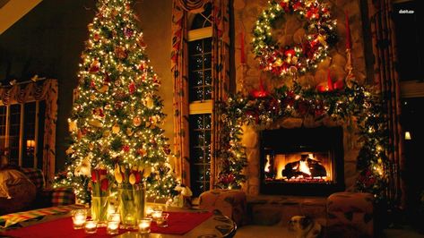 Fireplace Christmas Decor Wallpaper in HD | HD Wallpapers Navidad Natural, The Christmas Song, Christmas Desktop, Christmas Fireplace, Beautiful Christmas Trees, Wallpaper Vintage, Noel Christmas, Merry Little Christmas, E Card