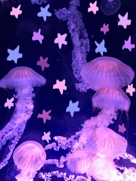 Jellyfish Playlist Cover, Floating Bell Jellyfish, Jelly Fish Laptop Wallpaper, Jellyfish And Stars, Cute Fish Aesthetic, Jellyfish Pfp Aesthetic, Pink Meanie Jellyfish, Jellyfishes Aesthetic, Jellyfish Aesthetic Art