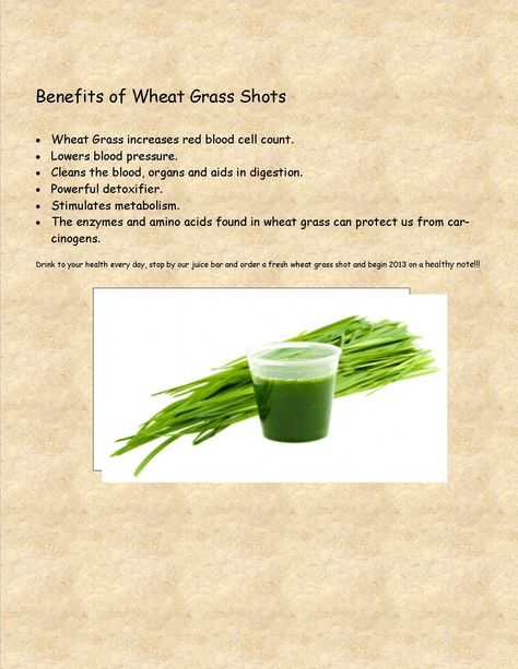 Benefits of Wheat grass shots! Stop by Wild by Nature for your daily shot! Grow Wheat Grass Indoors, Wheat Grass Benefits, Barley Grass Benefits, Wheat Grass Juice, Wheat Grass Powder, Benefits Of Wheat Grass Juice, Wheatgrass Benefits, Wheat Grass Shots, Wheat Germ