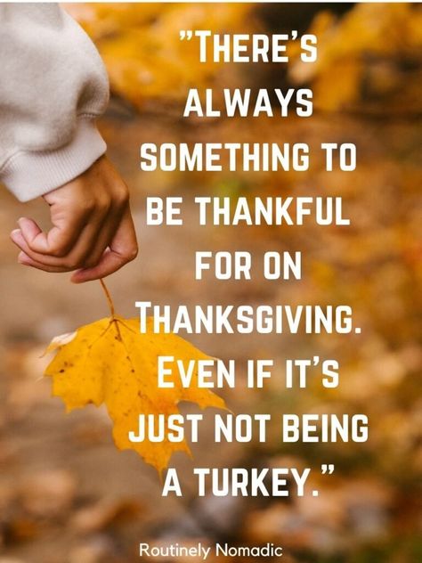 Funny Thanksgiving Quotes, Wishes and Sayings for 2021 | Routinely Nomadic Funny Thankful Quotes Humor, Thanksgiving Sayings Funny, Happy Thanksgiving Quotes Funny, Thanksgiving Funny Quotes, Tlc Videos, Funny Thanksgiving Quotes, Friendsgiving Quotes, Funny Thanksgiving Memes, Thanksgiving Sayings