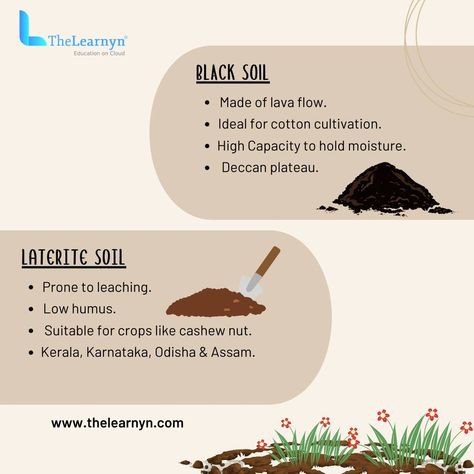 Dive into the fascinating world of soil classification and uncover the secrets beneath your feet! Did you know that soil is not just dirt beneath our feet, but a complex and diverse ecosystem in its own right? Explore the intricate world of soil classification and discover the different types of soils that shape our landscapes. From sandy soils that drain quickly to clayey soils that retain water, each classification tells a unique story of its composition and properties. Whether you'r... Types Of Soils, Soil Classification, Black Soil, Lava Flow, Sandy Soil, Types Of Soil, Ecosystem, Different Types, Drain