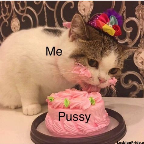 Inappropriate Thoughts, Dirty Memes, Won Woo, Gay Humor, Gay Memes, Silly Cats Pictures, Funny Cat Pictures, Cute Memes, Silly Cats