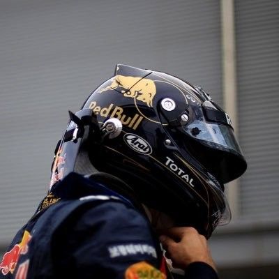 Daniel Ricciardo Pfp, Daniel Ricciardo Helmet, F1 Wallpapers, Danny Ric, Aryton Senna, Hot Biker Guys, Red Bull F1, Asian Male Model, Formula 1 Car Racing