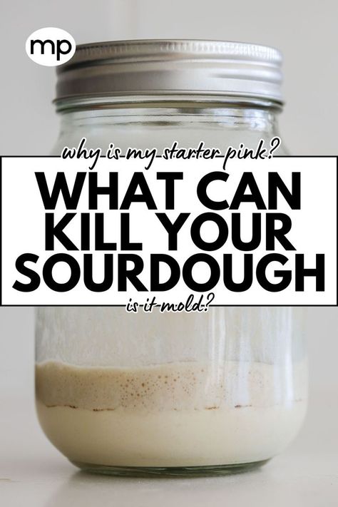 Sourdough troubleshooting. Pink Mold, Easy Sourdough Discard Recipes, Culinary Basics, Easy Sourdough Bread, Beginners Bread Recipe, Easy Sourdough Bread Recipe, Recipe Using Sourdough Starter, Sourdough Bread Recipes, Sourdough Starter Discard Recipe