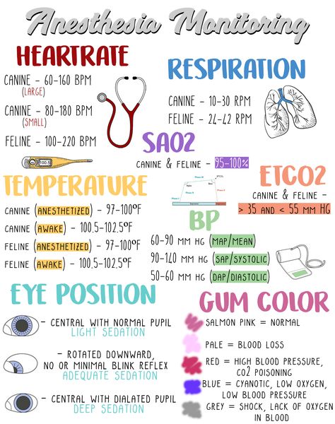 I made this anesthesia monitoring guide for my clinic to hang & train newer technicians Vet School Notes, Anesthesia Monitoring, Veterinary Notes, Vet Tech Notes, Vet Study, Vet School Motivation, Vet Science, Veterinarian Technician, Vet Tech School