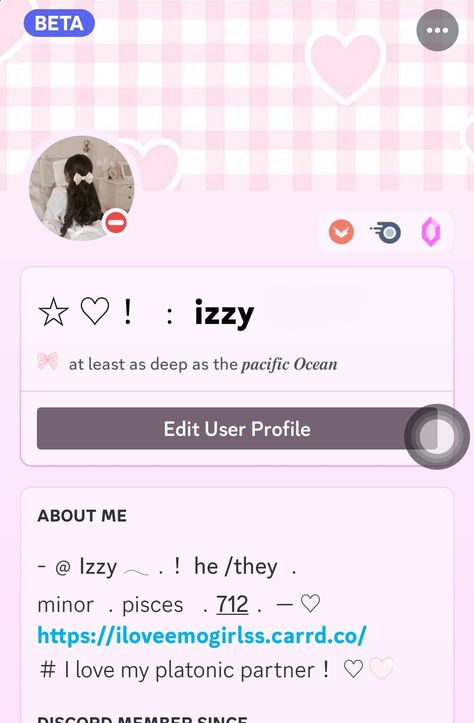 Aesthetic Discord Profile Ideas, Nitro Profile Ideas, Coquette Discord, Coquette Usernames, Discord Nitro Profile, Discord Theme, Discord Bio, Coquette Theme, Discord Layout