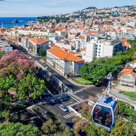 Funchal Cable Car - Visit Madeira | Madeira Islands Tourism Board official website Funchal Portugal, Panoramic Landscape, Cable Cars, Funchal, Cable Car, City Design, Summer 24, Design Projects, Tourism