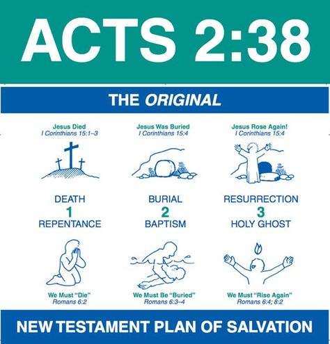 Acts Bible, Scriptural Quotes, Bible Highlighting, Jesus Facts, Bible Cross, Acts 2 38, Acts 2, Bible Readings, Plan Of Salvation