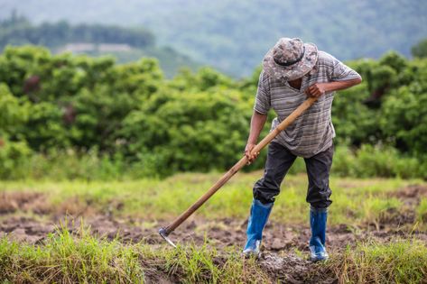 A male farmer who is using a shovel to dig the soil in his rice fields. | Premium Photo #Freepik #photo #nature #mountain #beauty #farm Watering Trees, Farm Tools, States Of India, Rainy Season, Body Poses, Photo Editing Software, Shovel, Free Photo, Free Photos