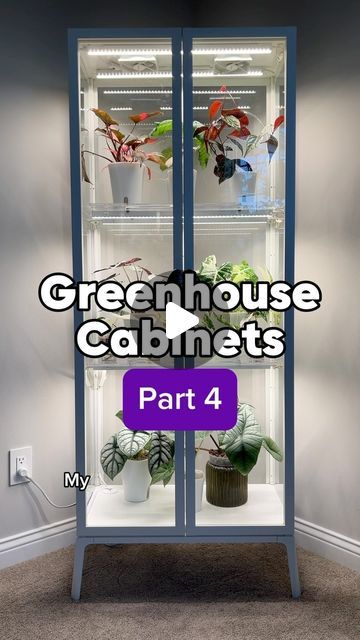 Catherine Cahoon 🌱 Houseplant Tips + Inspo on Instagram: "✨Comment “LINK” for links to everything to achieve this perfect IKEA greenhouse cabinet set-up! Use code INSANITY5 for 5% off Modern Aqua acrylic shelves!

Go big or go home! If you’re ready to take your houseplant care (and home decor) to the next level, this IKEA Milsbo Tall Cabinet is perfect for transforming into a cozy greenhouse for your plants! This video will show you how to add the finishing touches to your cabinet by installing fans and grow lights.

Why would you want a greenhouse cabinet? There are so many reasons ! :

🌦️ Greenhouse cabinets make it possible to control light, humidity, and temperature for the plants in your home year round.

⛑️ Greenhouse cabinets can protect pets and children from plants that would be Year Round Greenhouse, Cozy Greenhouse, Ikea Milsbo, Ikea Greenhouse Cabinet, Greenhouse Cabinet, Ikea Greenhouse, Grow Cabinet, Ikea Plants, Acrylic Shelves