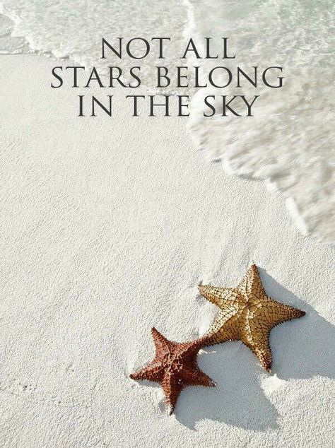 Starfish Starfish Quotes, Rum Cocktail Recipes, Vacation Quotes, I Love The Beach, Beach Quotes, Caribbean Travel, Beach Time, Aruba, My Happy Place