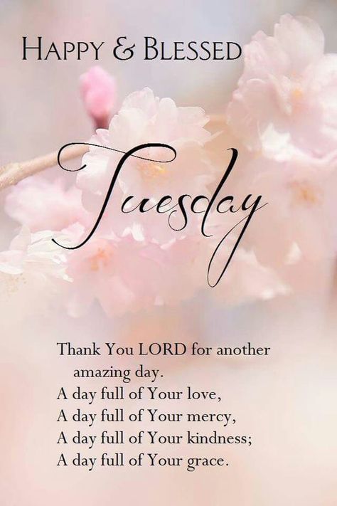 Happy & Blessed TUesdays Blessed Tuesday, Christian Good Morning Quotes, Tuesday Pictures, Happy Tuesday Morning, Tuesday Quotes Good Morning, Tuesday Greetings, Tuesday Blessings, Happy Tuesday Quotes, Good Morning Tuesday