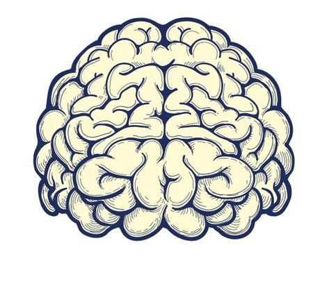 Human Brain Drawing, Science Wallpaper, Cartoon Brain, Brain Drawing, Brain Tattoo, Brain Illustration, Human Icon, Brain Art, Japan Tattoo Design