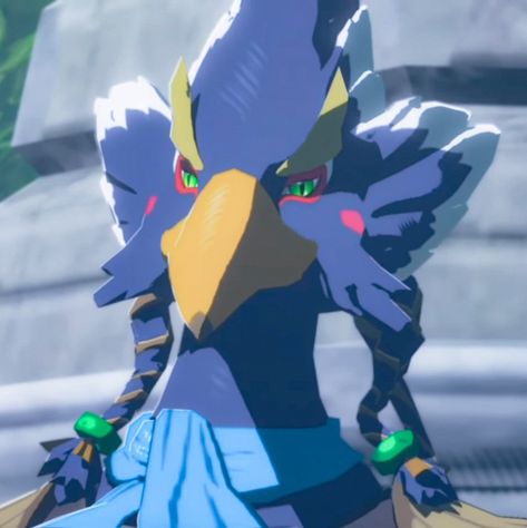 Botw Icons, Botw Champions, Revali Botw, Zelda Hyrule Warriors, Zelda Botw, Hyrule Warriors, Zelda Breath Of The Wild, Majoras Mask, Ocarina Of Time