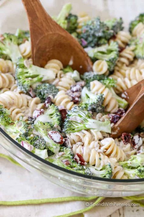 Broccoli Pasta Salad combines a traditional broccoli salad with pasta for the perfect potluck dish! Crisp broccoli, tender pasta, onions and sweet cranberries are mixed in a simple creamy dressing! #spendwithpennies #broccoli #broccolisalad #pastasalad #potluckrecipe #easypotluckdish #sidedish #easyrecipe #saladrecipe Cookout Foods, Broccoli Pasta Salad, Broccoli Pasta Salads, Pasta Sauce Homemade, Easy Grilled Chicken, Broccoli Salad Recipe, Greek Salad Pasta, Creamy Dressing, Cold Pasta Salad