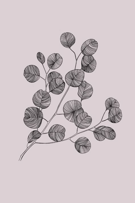 Eucalyptus Leaves | Illustration Line Art Drawings Botanical, Ink Botanical Illustration, Eucalyptus Line Art, Line Art Flowers Botanical Illustration, Fine Line Eucalyptus Tattoo, Leaves Illustration Pattern, Eucalyptus Leaves Tattoo, Flowers Pattern Illustration, Fineliner Art Illustration