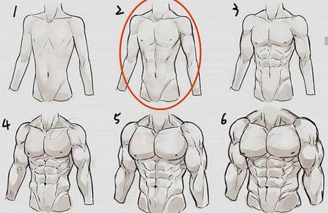 Male Abdomen Reference, How To Draw Male Buttocks, How To Draw Pecs Male, Male Waist Drawing Reference, Body Tutorial Drawing Male, Male Body Types Drawing Reference, Shirtless Man Reference Drawing, How To Draw Muscular Man, Shirtless Man Drawing