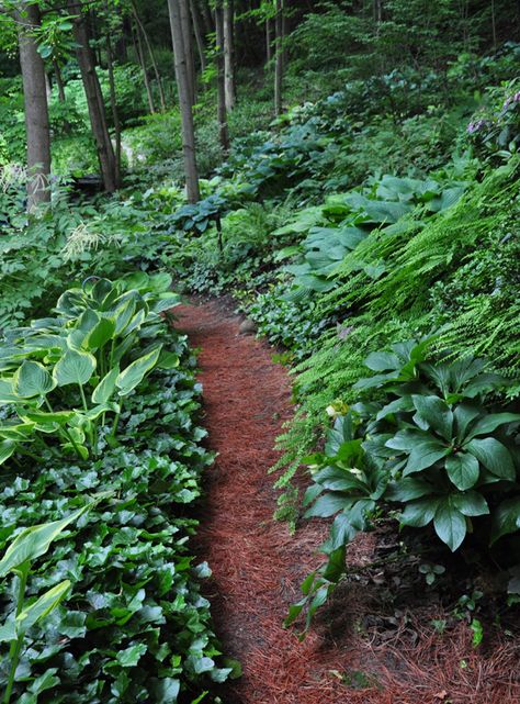 Sloped landscape  by Neil Turnbill of hosta, native trees and ferns, azaleas and rhododendrons  via Three Dogs in a Garden: Part 2 Gardens with an Uneven Terrain Sloped Landscape, Shade Landscaping, Landscaping A Slope, Ferns Garden, Hillside Garden, Hillside Landscaping, Sloped Garden, Three Dogs, Forest Garden