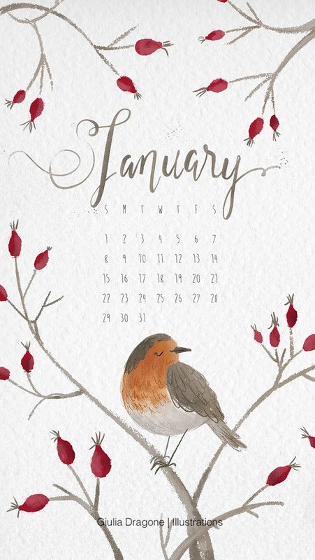 January Wallpaper Iphone, January Wallpaper, January Art, Illustration Calendar, Hello January, Watercolor Calendar, Printable Calendar 2020, January Calendar, Free Desktop Wallpaper