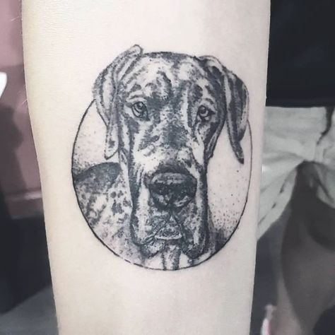 40+ Cute Great Dane Tattoo Ideas - The Paws Dog Tattoo Great Dane, Great Dane Paw Print Tattoo, Great Dane Tattoo Ideas, Dante Tattoo, Great Dane Tattoo, Cute Great Dane, Shepherd Tattoo, Harry Tattoos, Theme Tattoo