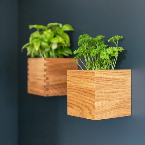 MAGNETIC Wooden Planter Wooden Magnetic Flower Pot for Wall - Etsy Sri Lanka Kitchen Wall Covering, Magnet Wall, Kitchen Rails, Wood Magnets, Herbs And Plants, Plastic Planter, Magnetic Storage, Wooden Planter Boxes, Wooden Planter