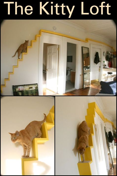 Stairs For Cats, Cat Loft, Cool Stairs, Cat Stairs, Dog Yard, Cat Exercise, Pet Stairs, Future Room, Loft Apartment