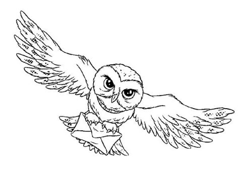 realistic owl coloring pages - Cool Owl Coloring Pages Ideas Harry Potter Drawings Easy, Harry Potter Kawaii, Harry Potter Weihnachten, Harry Potter Houses Crests, Harry Potter Dragon, Dobby Harry, Harry Potter Goblet, Harry Potter Coloring Pages, Harry Potter Printables Free