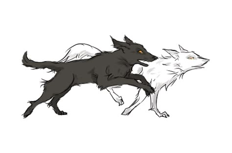 Therian Gif, Animal Animation Gif, Animated Wolf, Dog Turnaround, Wolf Animation, Wolf Gif, Wolf Running Reference, Wolf Walk Cycle, Running Wolf Art