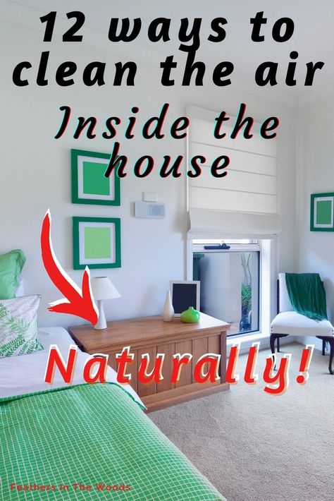 Clean looking bedroom in green and white colors. Air Purifier Living Room, Airing Out The House, Air Out Your House, Natural Ways To Purify The Air, Natural Air Purifier Diy, Homemade Air Purifier, How To Clean The Air In Your Home, Diy Air Cleaner, Improve Air Quality In Home