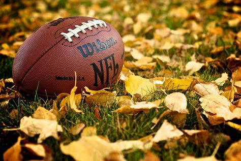 The Ladies' Guide To Watching Football This Fall Dont Forget To Smile, Fall Football, Watch Football, Football Party, Fb Covers, Fabulous Fall, Best Seasons, A Football, Reasons To Smile