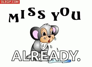 Miss You Already GIF - Miss You Already - Discover & Share GIFs Miss You Already, Looney Tunes Characters, Sister Quotes, Looney Tunes, Morning Quotes, Good Morning Quotes, To Miss, Miss You, Positive Vibes