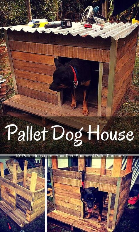 Diy Dog House Outdoor, Dog Course, Dog House Outdoor, Dog Nook, Big Dog House, Dog House Plan, Pallet Dog House, Small Dog House, Puppy Tips