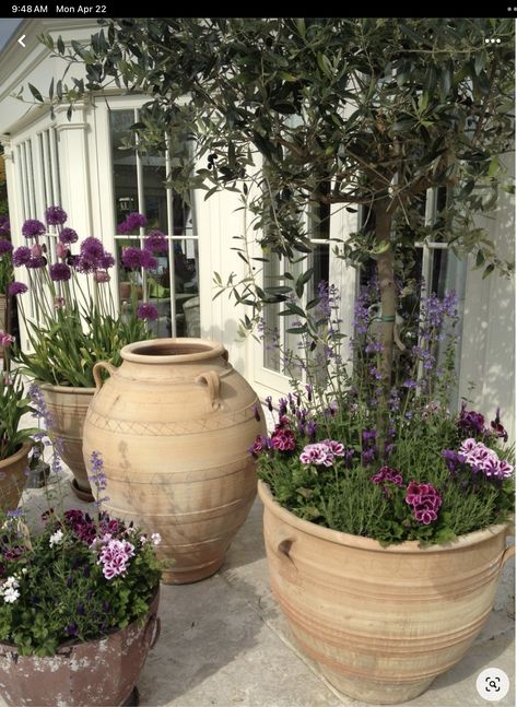 Garden Pots Aesthetic, English Potted Garden, Mediterranean Potted Plants, European Yard Landscaping, Meditarian Garden, Terracotta Pot Garden, Pots Plants Outdoor Ideas, European Courtyard Garden, Big Terracotta Pots