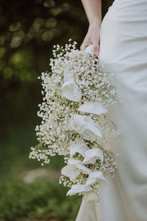 Bridal Bouquet Aesthetic, Draping Bouquet Wedding, Hand Bucket Wedding Flowers, Simple Orchid Bouquet, Aesthetic Wedding Bouquet, Baby Breath Wedding Bouquet, Lilly Bridal Bouquet, Bridal Bouquet Orchids, Lilly Bouquet Wedding