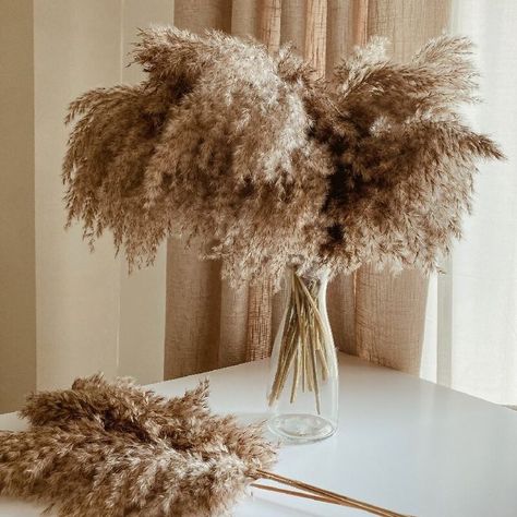 full pampas bouquets Fall Vase Filler, Brown Pampas, Grass Bouquet, Christmas Wedding Decorations, Pampas Grass Bouquet, Boho Style Decor, Dried Pampas, Garden Shears, Grass Decor