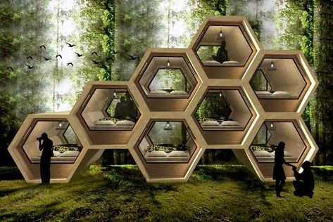 Honey Comb Architecture Concept, Glamping Design Ideas, Wood Honeycomb, Cross Laminated Timber, Honeycomb House, Geodesic Dome Homes, Earthship Home, Resort Design, Dome House