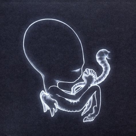 Sigur Ros, Post Rock, Music Album Covers, Progressive Rock, Best Albums, Cd Album, Music Album, Digital Music, My Favorite Music