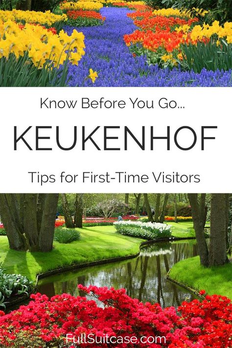 11 Tips & Tricks for Visiting Keukenhof Gardens in Holland in 2024 Keukenhof Outfit, Keukenhof Gardens Outfit, Keukenhof Gardens, Visit Netherlands, Netherlands Keukenhof, Keukenhof Gardens Netherlands, Netherlands Tourist Spots, Tulips In Netherlands, Netherlands Tourism