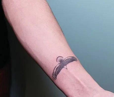 Hand Poke Tattoo, Small Eagle Tattoo, Falcon Tattoo, Hawk Tattoo, Tattoo Techniques, Best Tattoos For Women, Eagle Tattoos, Hand Poked Tattoo, Eagle Tattoo