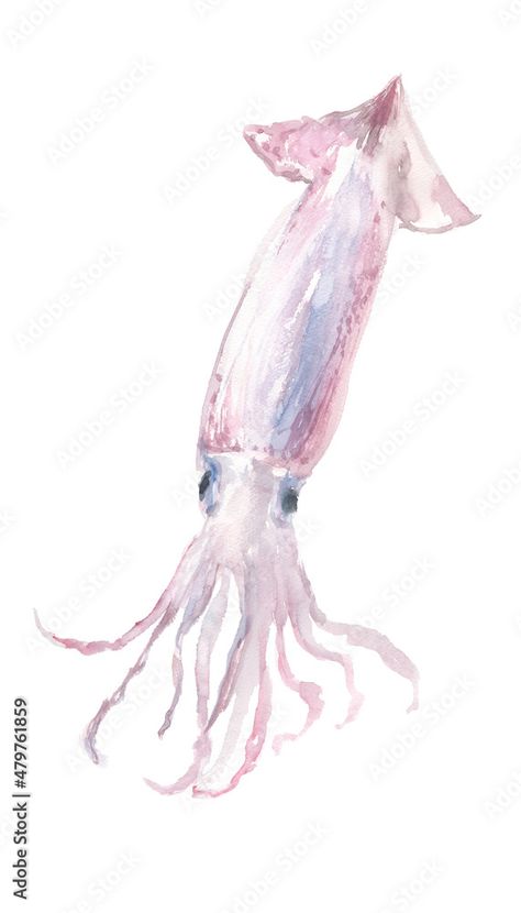 Squid Watercolor Painting, Under Sea Watercolor, Squid Watercolor, Squid Sketch, Sea Animal Drawings, Squid Painting, Sealife Drawing, Watercolor Ocean Animals, Ocean Animal Art