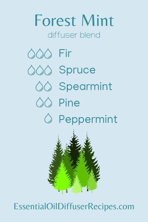 The Forest Mint essential oil diffuser blend contains fir, spruce, spearmint, pine, and peppermint essential oils. Thyme Essential Oil Diffuser Blends, Diffuser Scents, Mint Essential Oil, Essential Oil Combinations, Essential Oils For Headaches, Spearmint Essential Oil, Diffuser Oil, Essential Oils Herbs, Essential Oil Diffuser Recipes